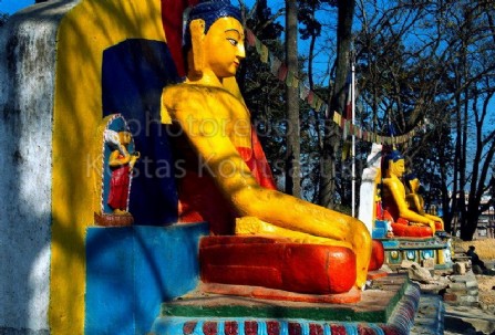 Νεπάλ Κατμαντού Ινδουιστικός ναός Μαϊμούς 03