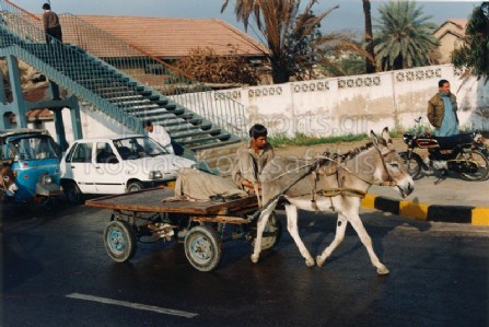 Δρόμοι Ινδίας και Πακιστάν 08