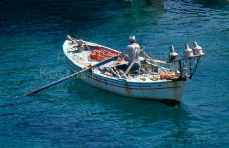 Ψαρόβαρκα με πυροφάνι