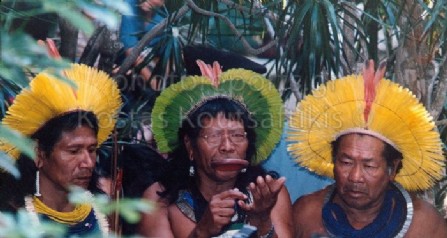Ιθαγενής Βραζιλίας 06