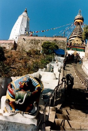 Νεπάλ Κατμαντού Ινδουιστικός ναός Μαϊμούς 02