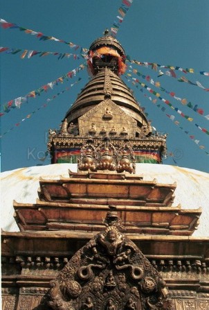 Νεπάλ Κατμαντού Ινδουιστικός ναός Μαϊμούς 06